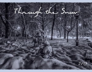 Through-the-Snow-Cover
